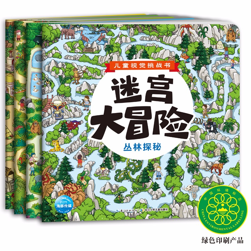 儿童视觉挑战书：迷宫大冒险